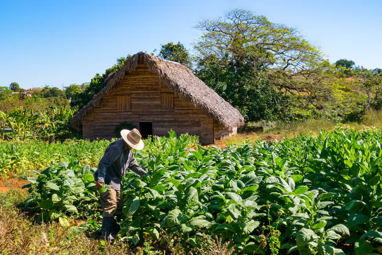 Valle de Viñales 2-Day Excursion