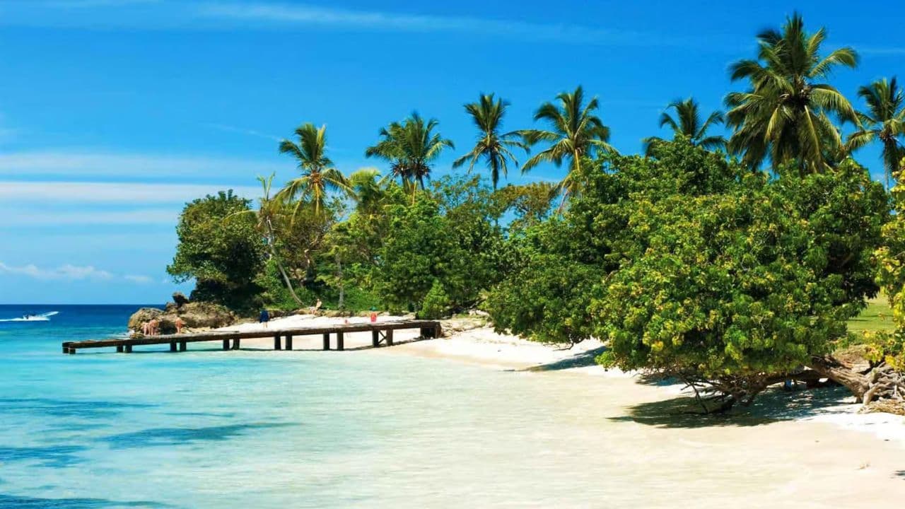 Santo Domingo: Samana, El Limon Waterfall and Cayo Levantado