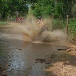 Bayahibe: Buggy tour amazing half-day