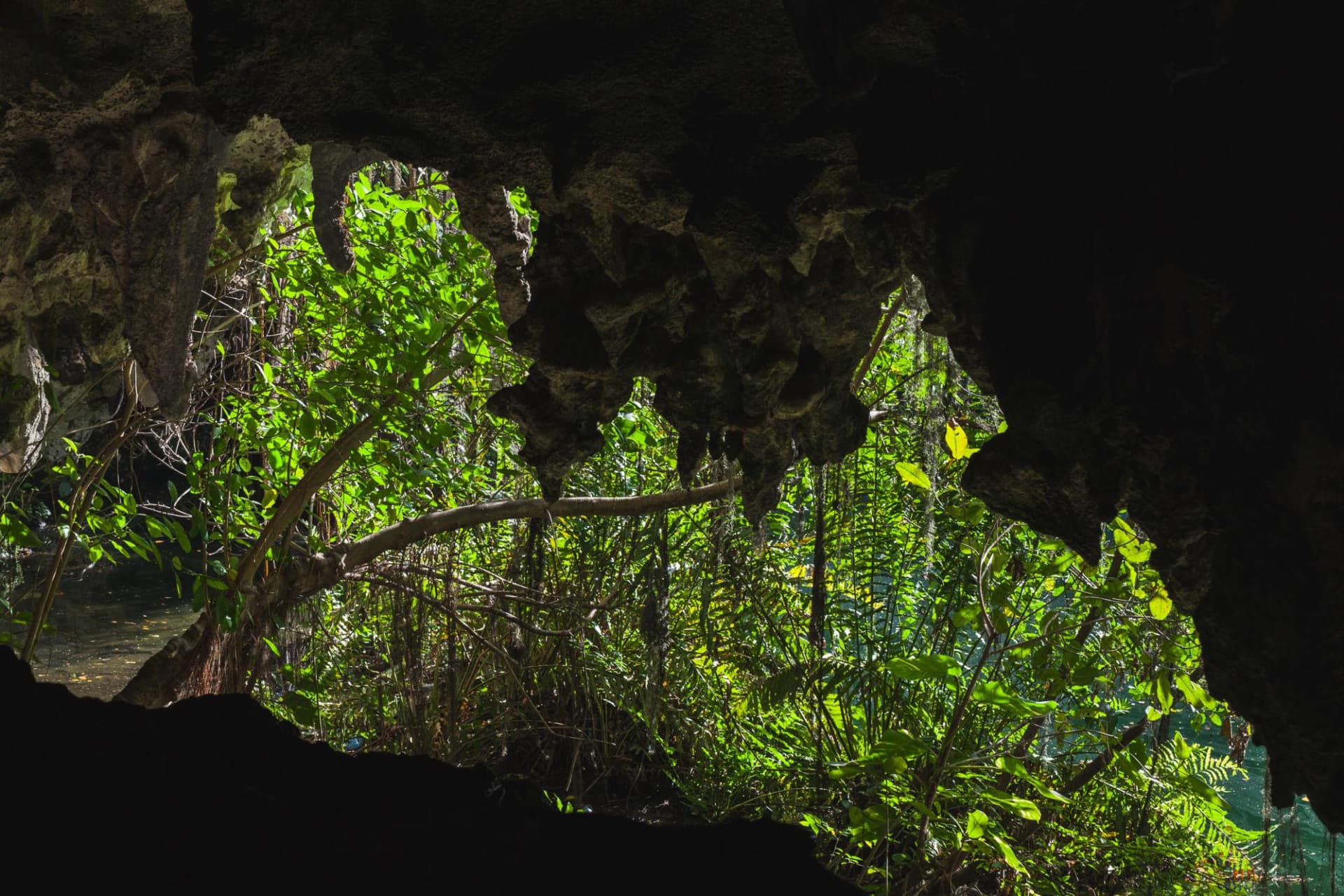 Los Tres Ojos Entrance Tour with Local Guide – Santo Domingo - Dominican Republic