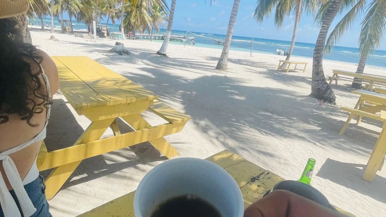 Full-Day Cruise of Isla Saona from Santo Domingo with Lunch