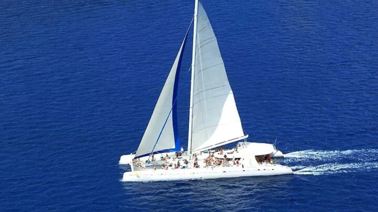 Saona Island: Catamaran tour to a Dream Beach, all inclusive