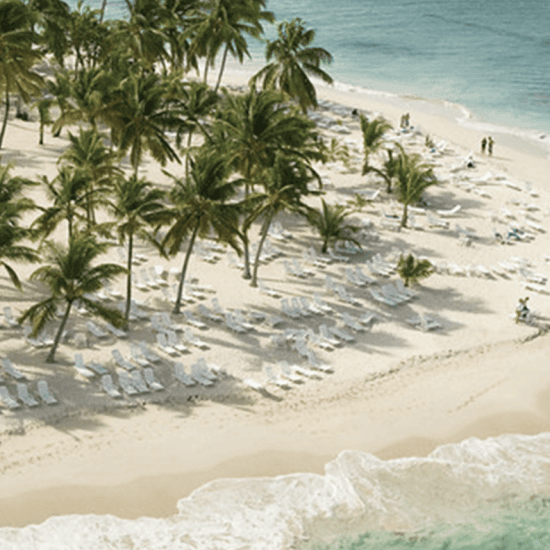 From Punta Cana: Samana Cayo Levantado & Whales