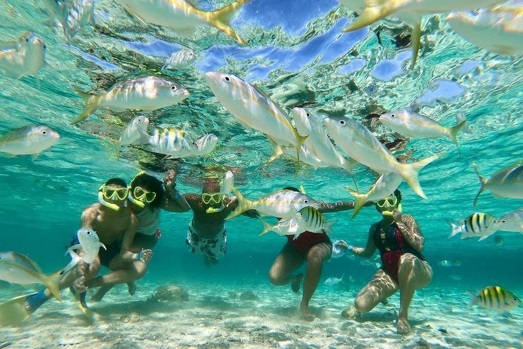 Private Tour to Paradise Island with Snorkel & Manatee Sanctuary
