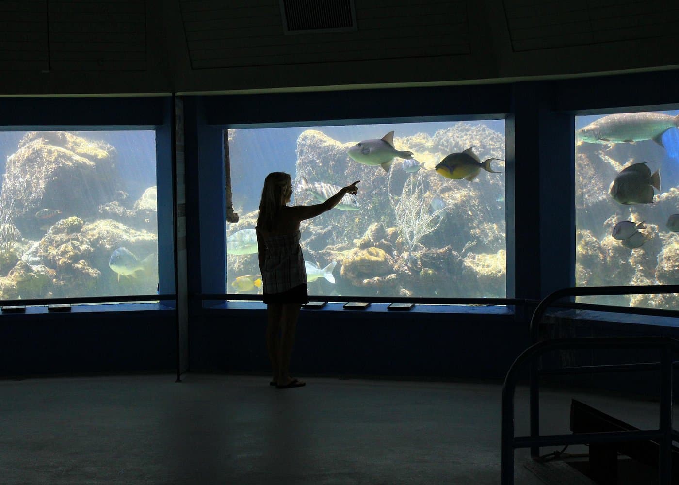 Coral World Ocean Park General Admission Ticket