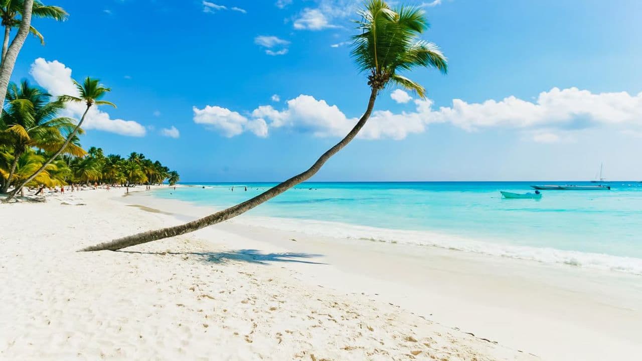 Punta Cana: Bird Watching at Punta Cana Foundation Area