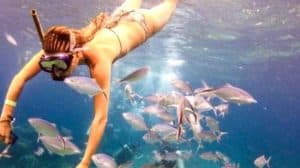Punta Cana: Catalina Island Snorkeling Tour with Lunch - Photo 1 of 4