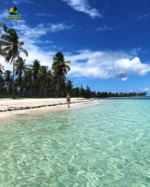 Saona Island Tour from Bayahibe – Natural Pool Excursion