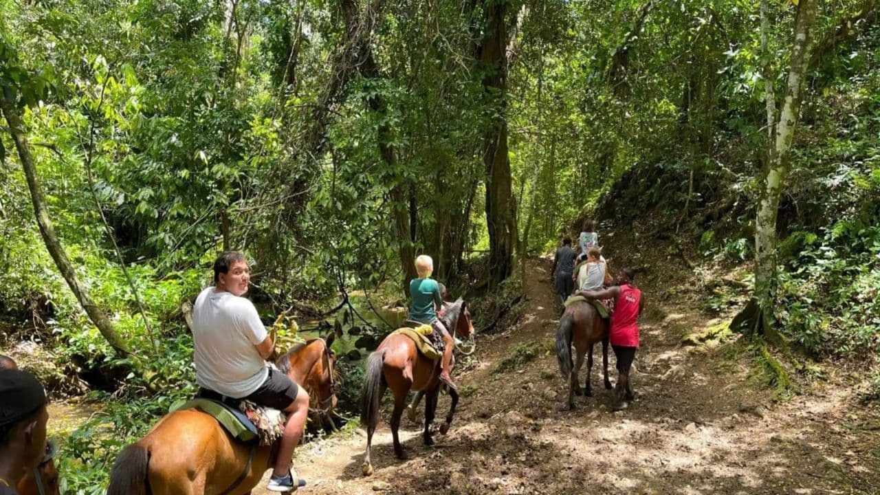 Dominican Republic: El Limón Waterfall Horseback Riding Tour