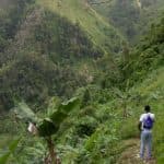 Private Birding Tours of the Dominican Republic