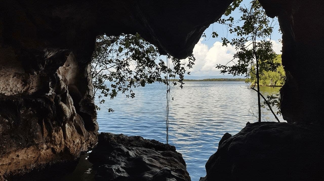 Samana: Los Haitises combining ATV riding, kayaking through mangroves
