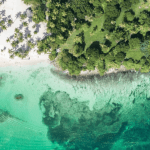 Whale Watching + Cayo Levantado Freedom
