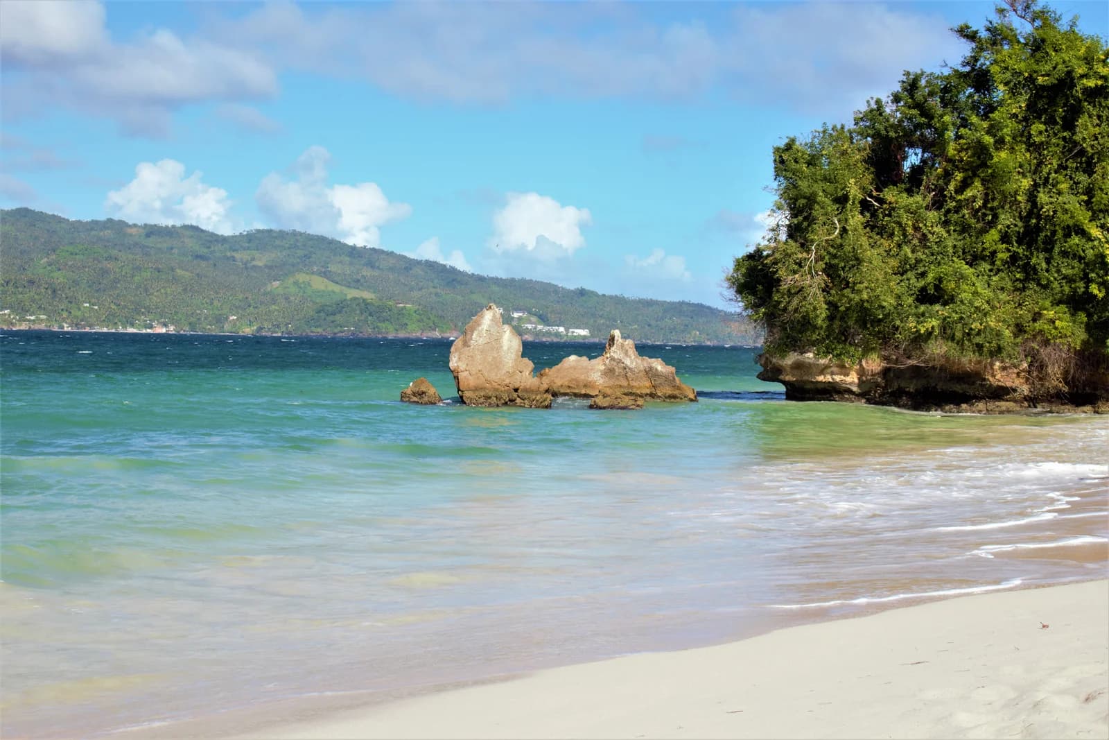 Whale Watching from Miches Hotels and Cayo Levantado (Bacardi Island)