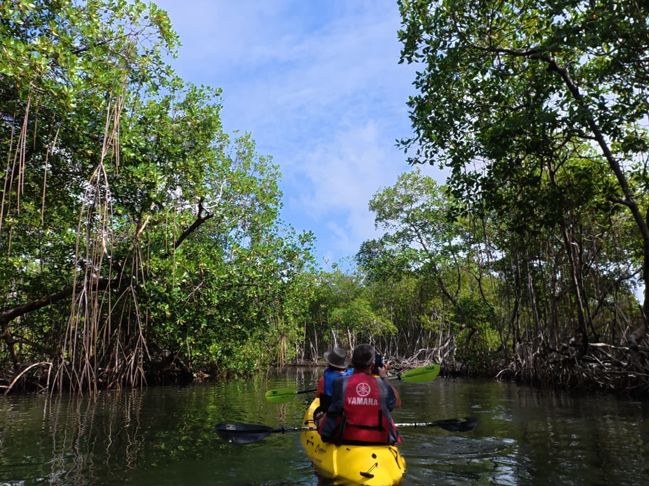 Punta Cana to Los Haitises + Kayak, Boat Ride & Macao Buggy Adventure