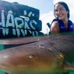 Four Adventures: Parasailing, Snorkeling Cruise, Sharks & Rays in Natural Pools from Punta Cana