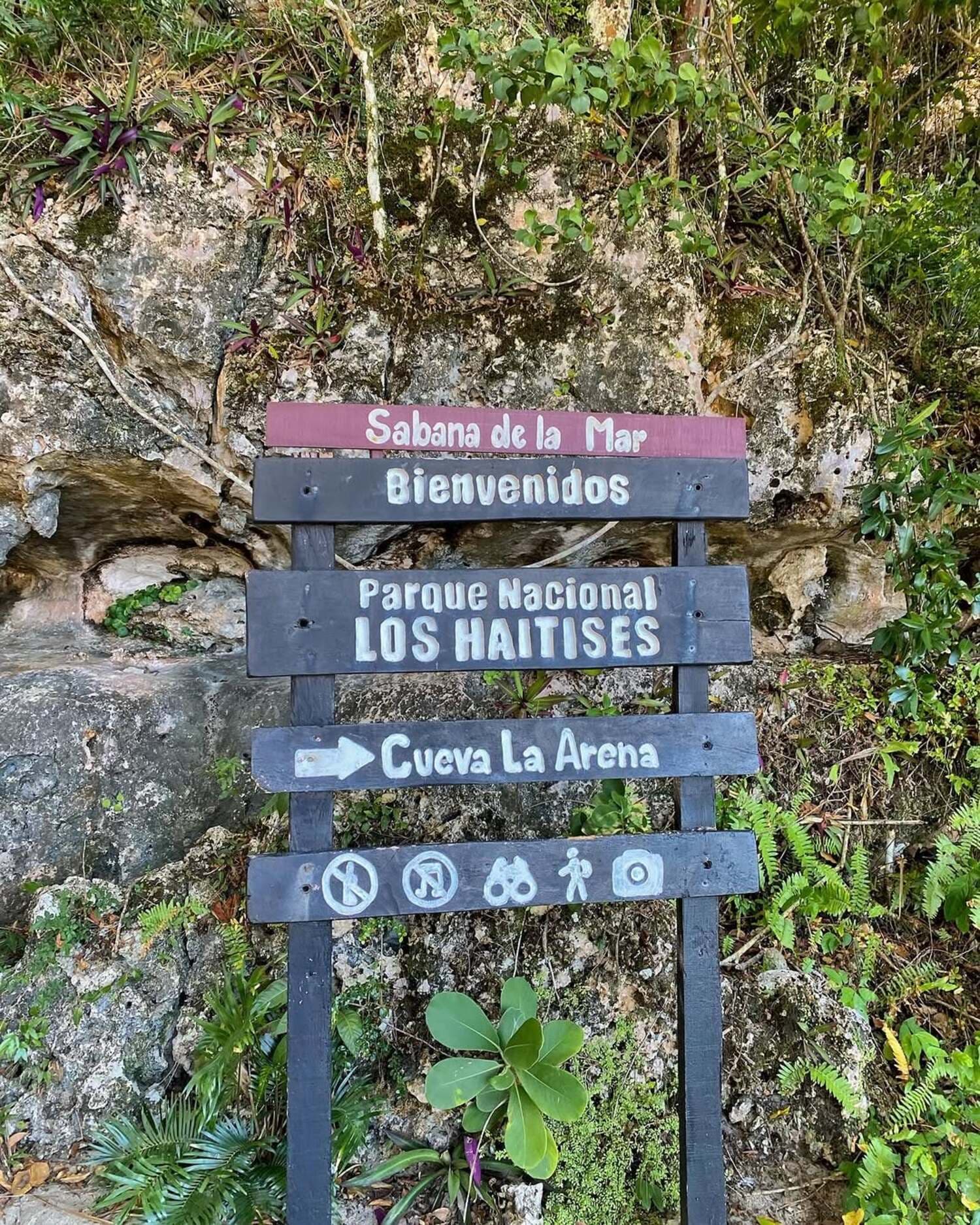 Los Haitises Half-Day Boat Tour from Punta Cana - Dominican Republic