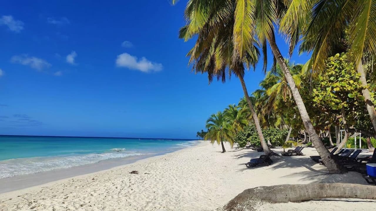 Private Transfer Las Americas Airport to Punta Cana