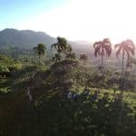 Punta Cana: Anamaya Mountains Walking Tour with Tasting