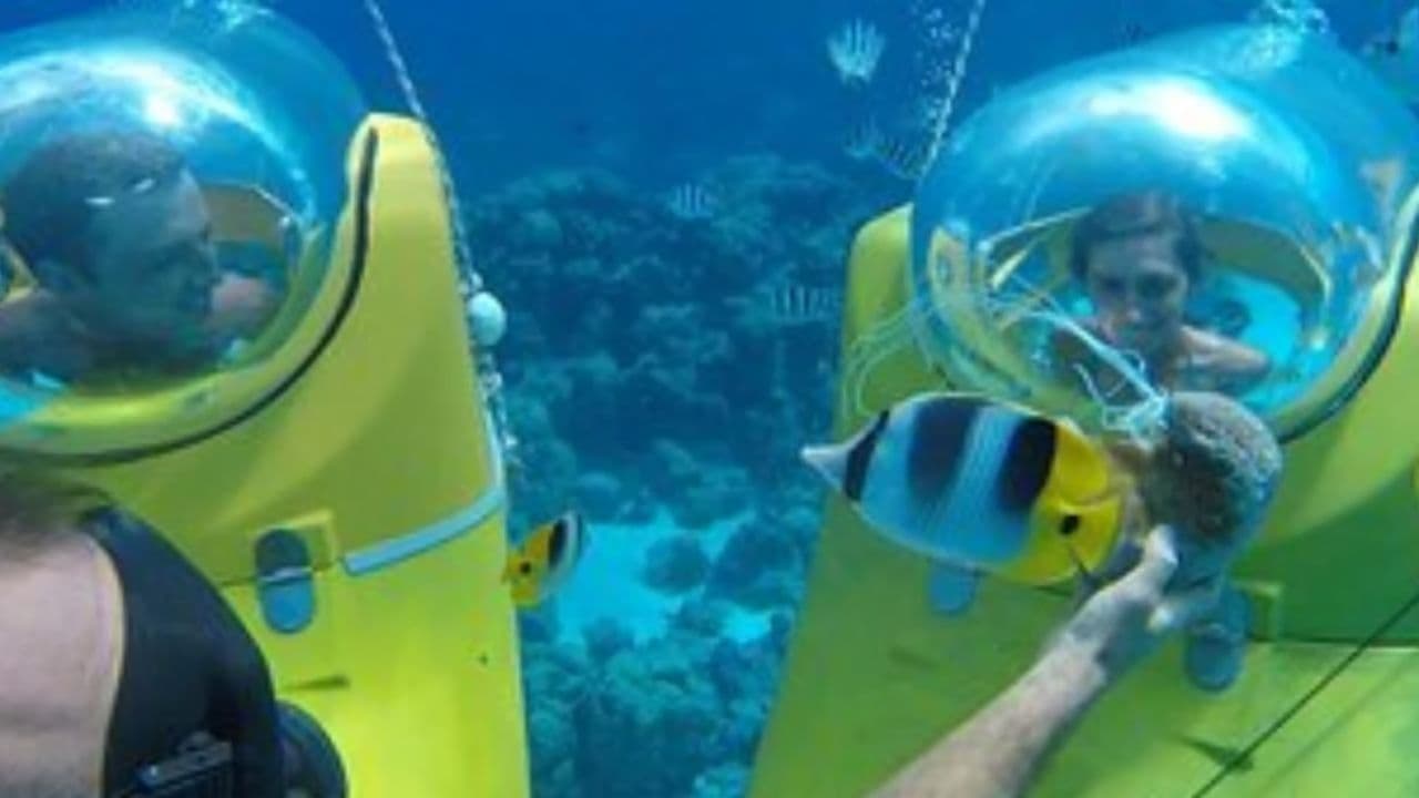 Punta Cana: Experience a Submarine Scooter with ScubaDoo