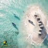 Paradise Island & The Mangroves, Snorkeling (Cayo Arena) Day Pass. Half Day Trip.